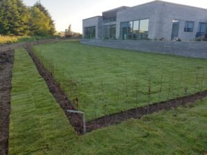  Opsætning af Rullegræs