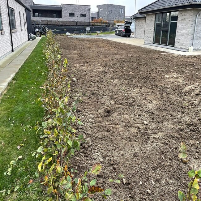 Planering af Græsplæne